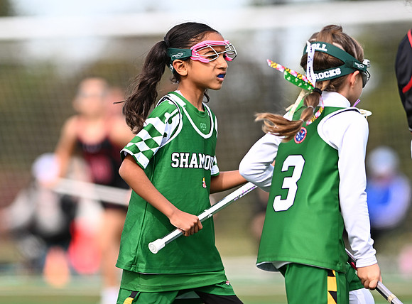 Shamrocks04027