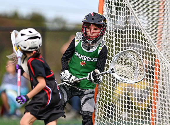 Shamrocks04028