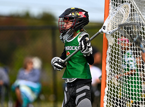 Shamrocks04031