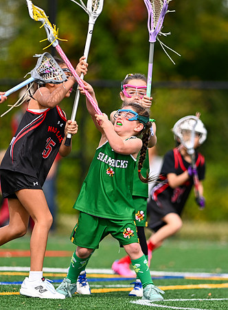 Shamrocks04033