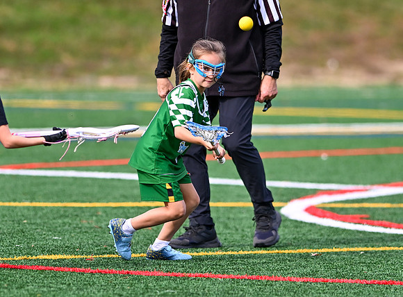 Shamrocks04036