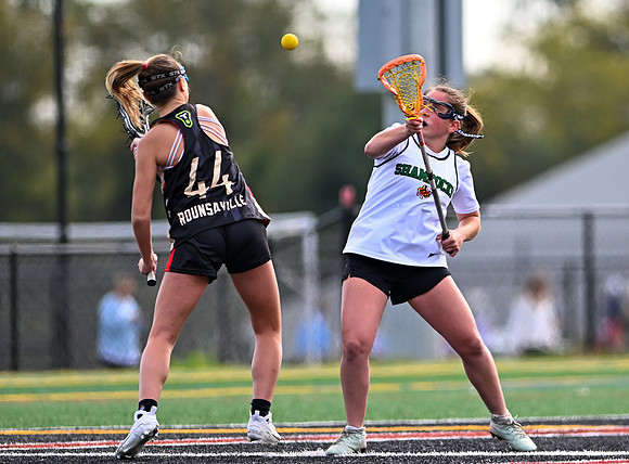 Shamrocks04042
