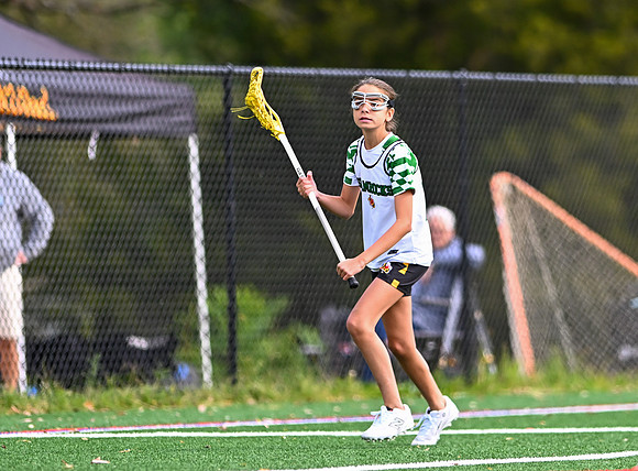 Shamrocks04044