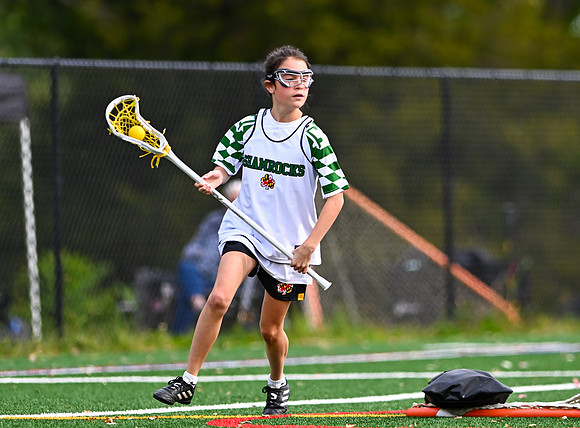 Shamrocks04048