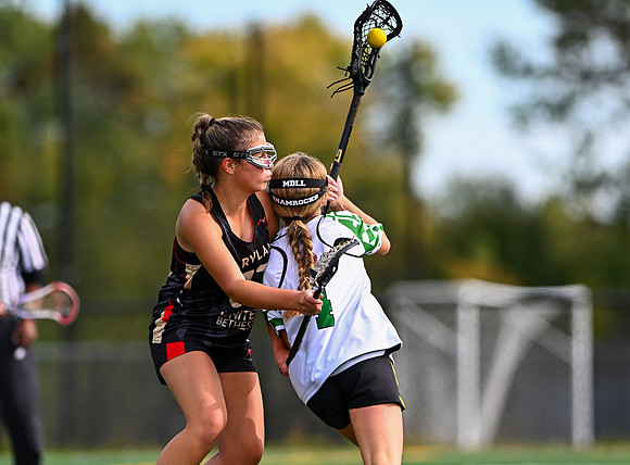 Shamrocks04056