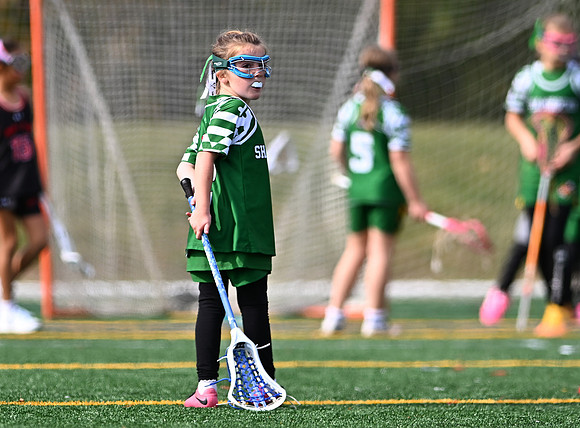 Shamrocks04062