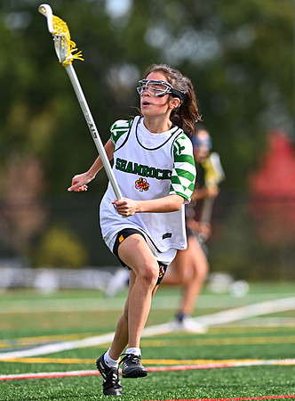 Shamrocks04060