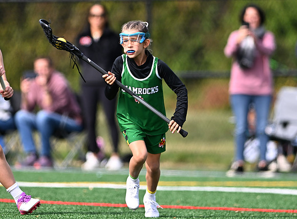 Shamrocks04064