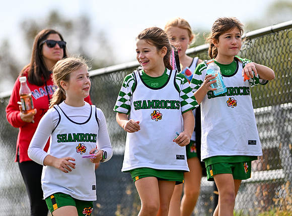 Shamrocks04061