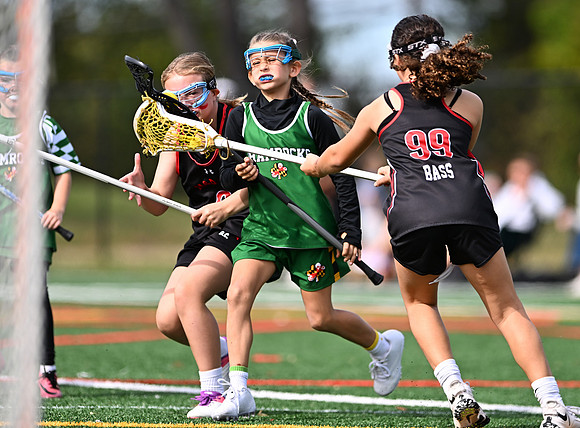 Shamrocks04065