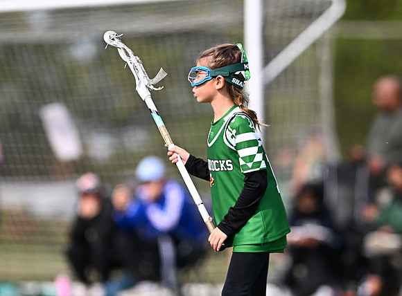 Shamrocks04068