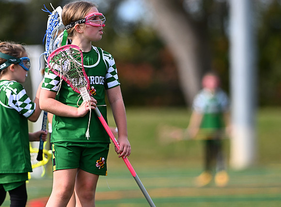 Shamrocks04067