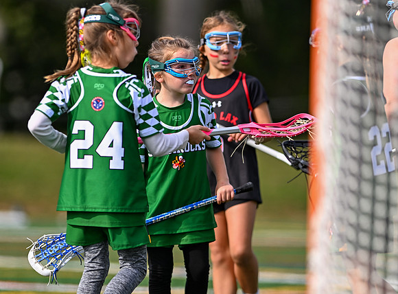 Shamrocks04066