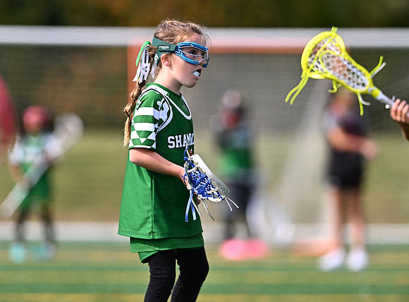 Shamrocks04069