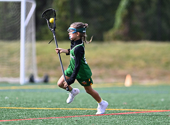 Shamrocks04073