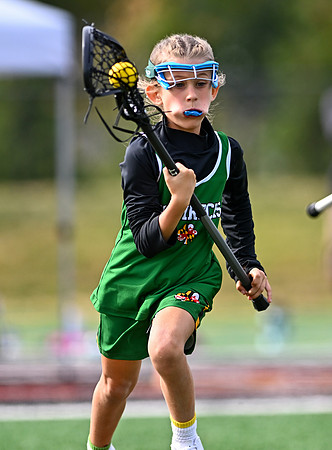 Shamrocks04075