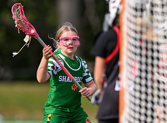 Shamrocks04072