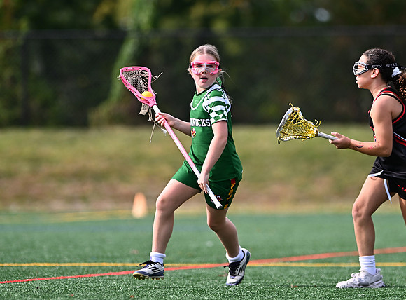 Shamrocks04079