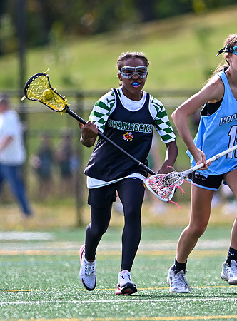 Shamrocks04085
