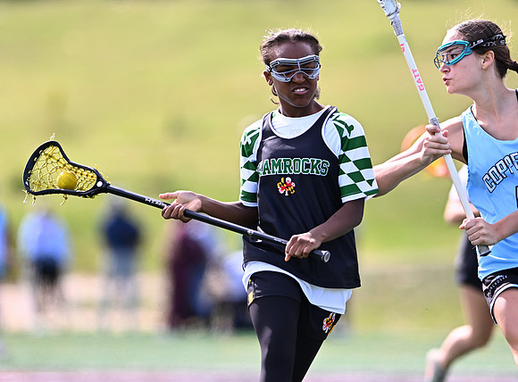 Shamrocks04087