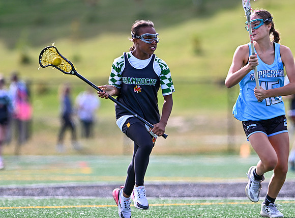 Shamrocks04086