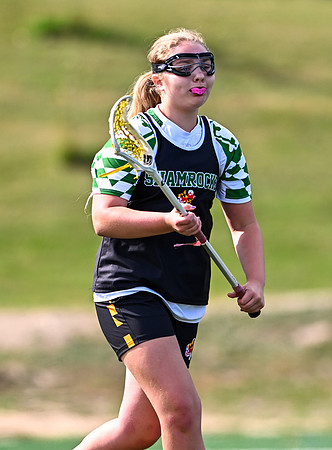 Shamrocks04093
