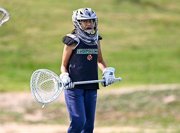 Shamrocks04100
