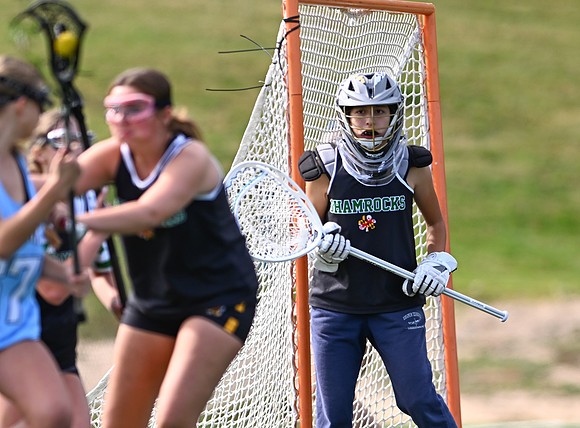 Shamrocks04103