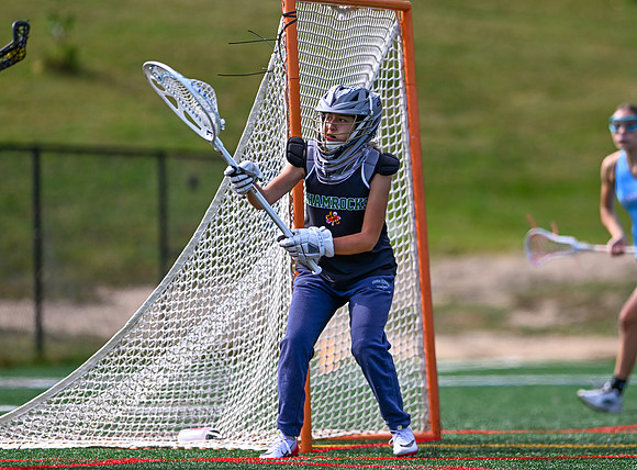 Shamrocks04105