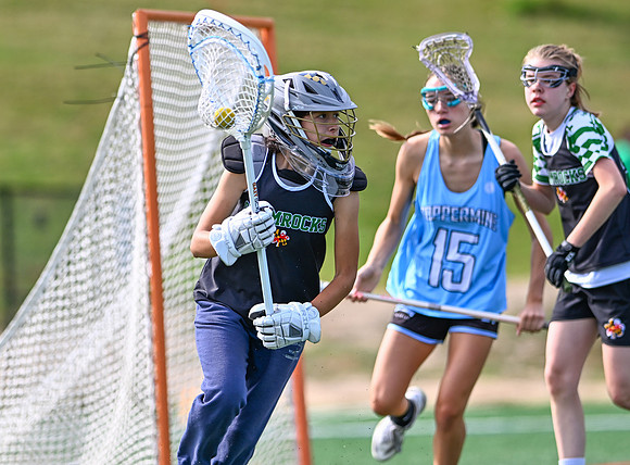 Shamrocks04110