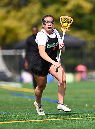 Shamrocks04118