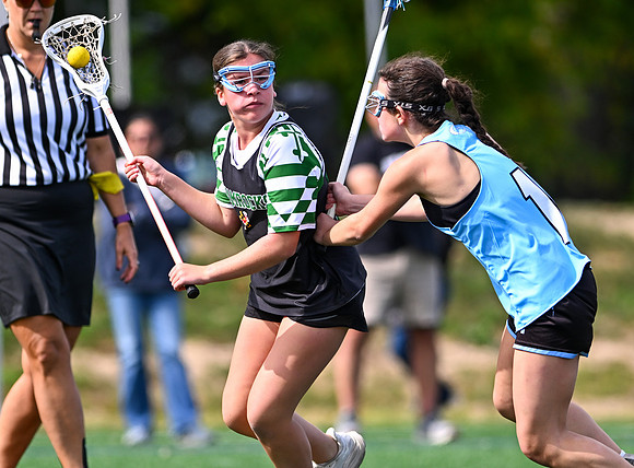 Shamrocks04122