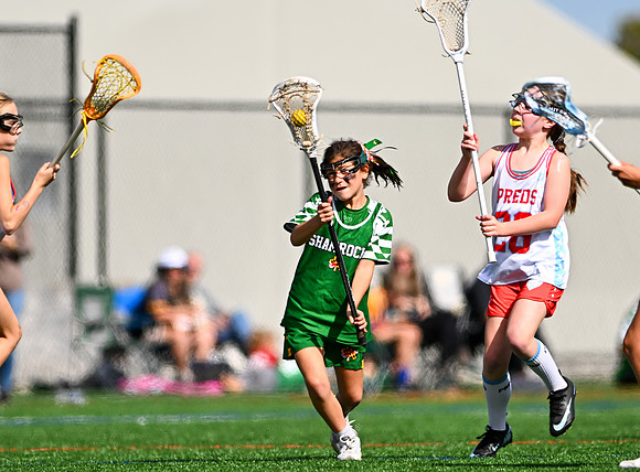 Shamrocks04135