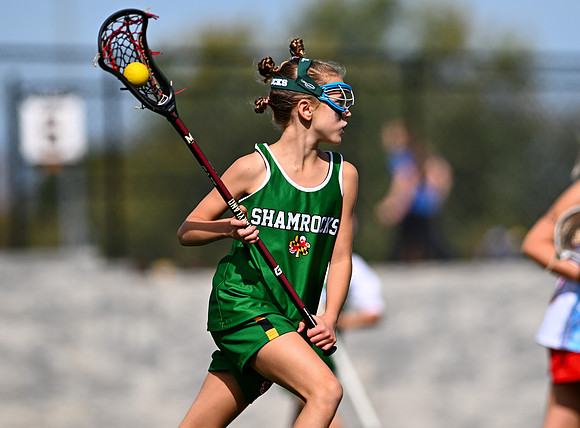 Shamrocks04133