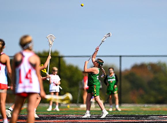 Shamrocks04134