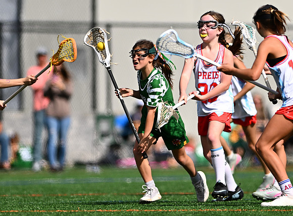Shamrocks04136
