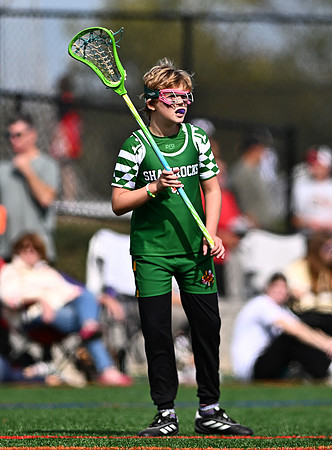 Shamrocks04137
