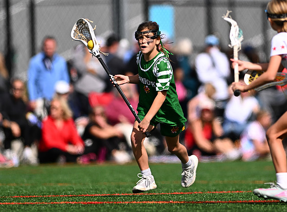 Shamrocks04139