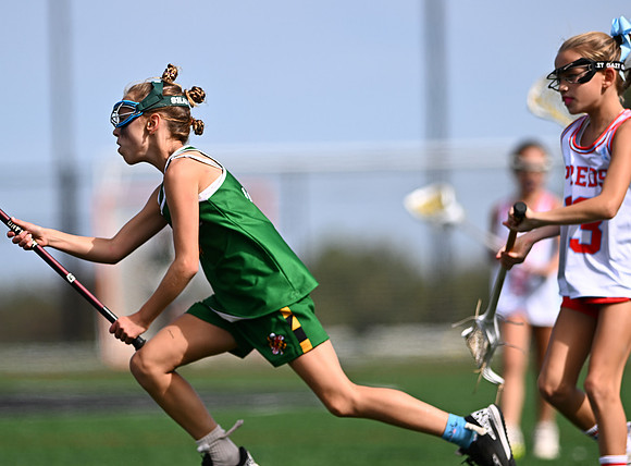 Shamrocks04146