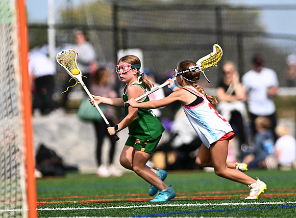 Shamrocks04147