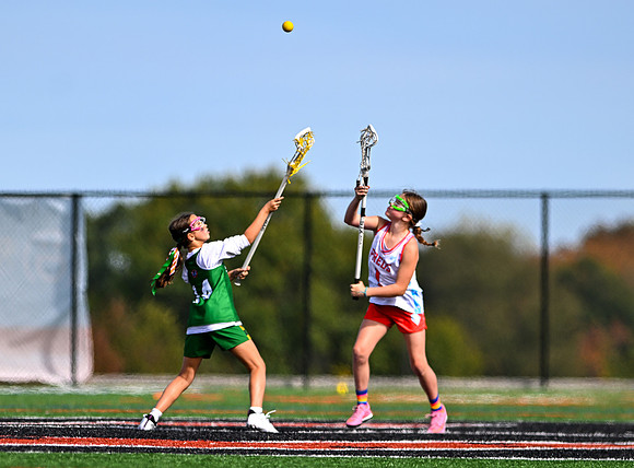 Shamrocks04149