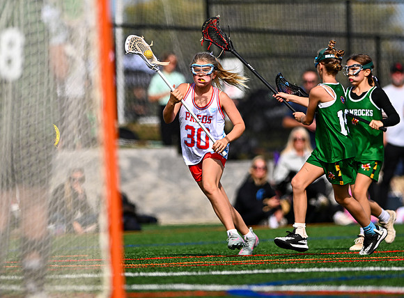 Shamrocks04151