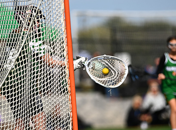 Shamrocks04152
