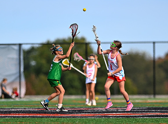 Shamrocks04161