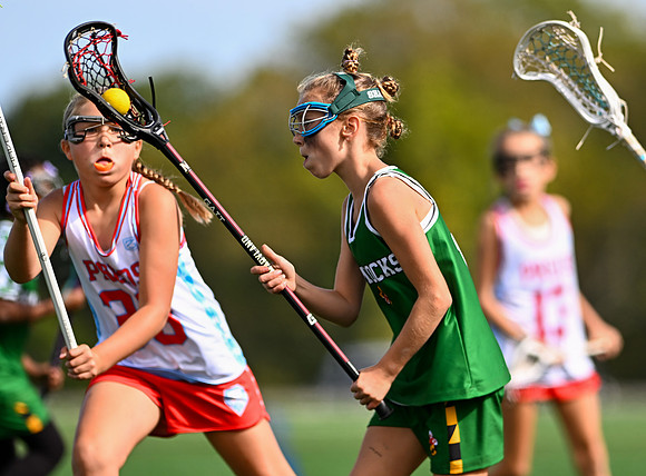 Shamrocks04160