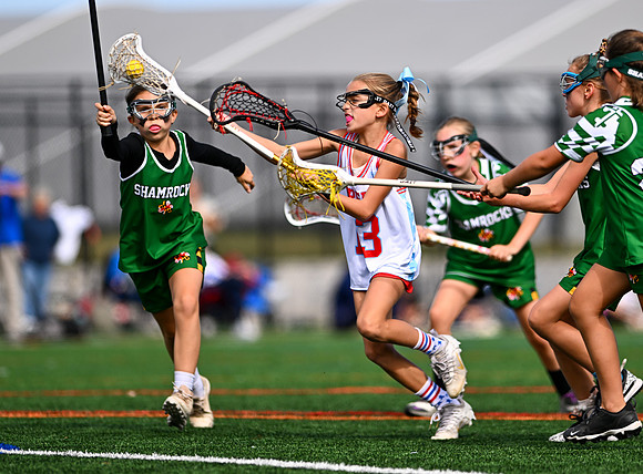 Shamrocks04166