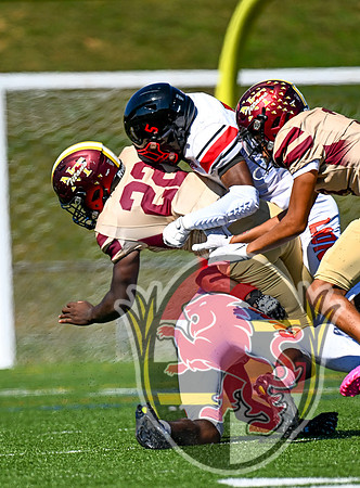 DulaneyFB-00981