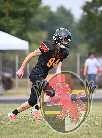 Dulaney-v-Towson05113