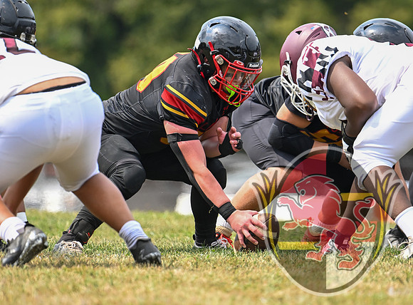 Dulaney-v-Towson05629