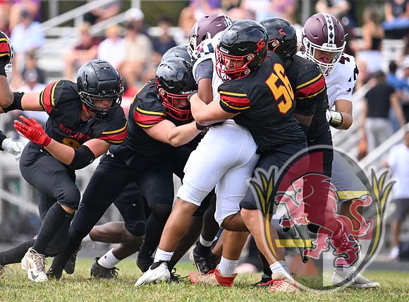 Dulaney-v-Towson06461